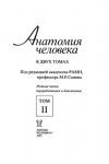 0263655.jpg